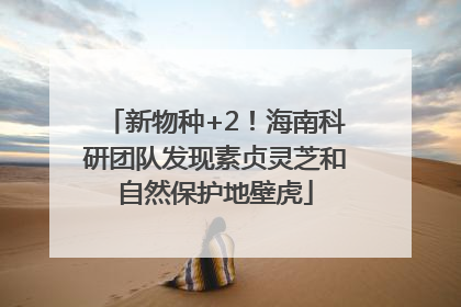 新物种+2！海南科研团队发现素贞灵芝和自然保护地壁虎